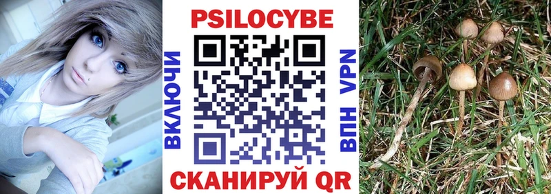 где купить   Лиски  Галлюциногенные грибы GOLDEN TEACHER 