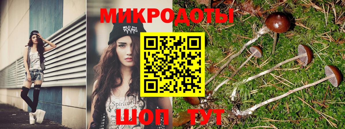 Галлюциногенные грибы MAGIC MUSHROOMS  купить наркотик  Лиски  Вход с VPN  Галлюциногенные грибы Psilocybe 